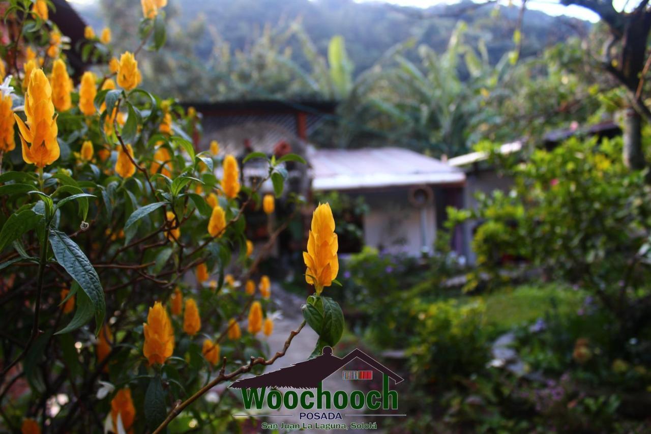 Posada Woochooch ซานฮวนลาลากูนา ภายนอก รูปภาพ